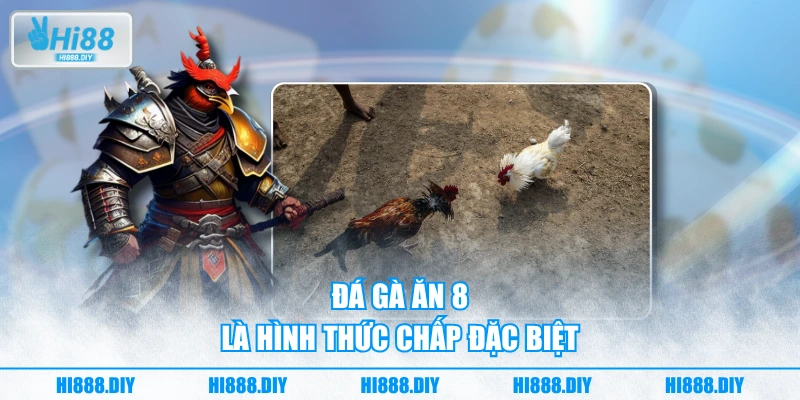 Đá gà ăn 8 là hình thức chấp đặc biệt Đá gà ăn 8 là hình thức chấp đặc biệt