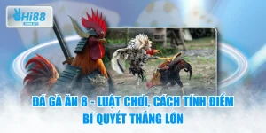 Đá Gà Ăn 8 - Luật Chơi, Cách Tính Điểm & Bí Quyết Thắng Lớn