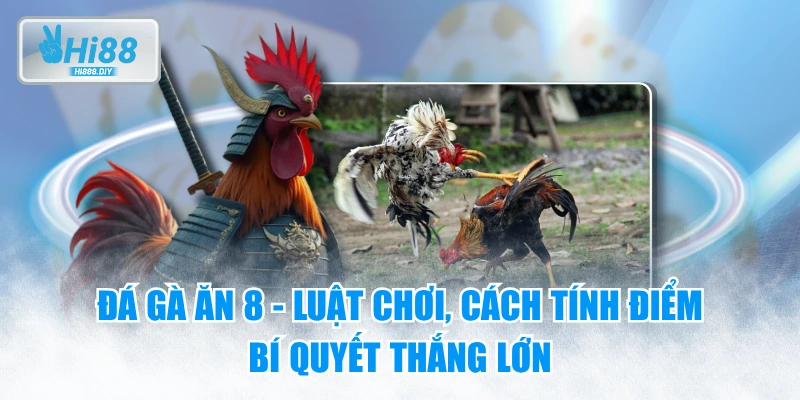Đá Gà Ăn 8 - Luật Chơi, Cách Tính Điểm & Bí Quyết Thắng Lớn