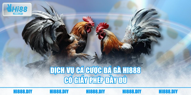 Dịch vụ cá cược đá gà HI888 có giấy phép đầy đủ Dịch vụ cá cược đá gà HI888 có giấy phép đầy đủ