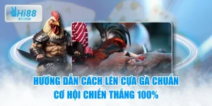 Hướng Dẫn Cách Lên Cựa Gà Chuẩn - Cơ Hội Chiến Thắng 100%