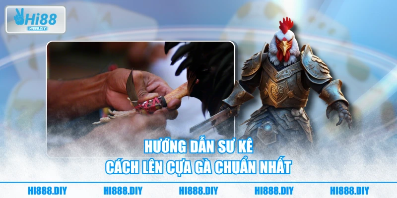 Hướng dẫn sư kê cách lên cựa gà chuẩn nhất Hướng dẫn sư kê cách lên cựa gà chuẩn nhất