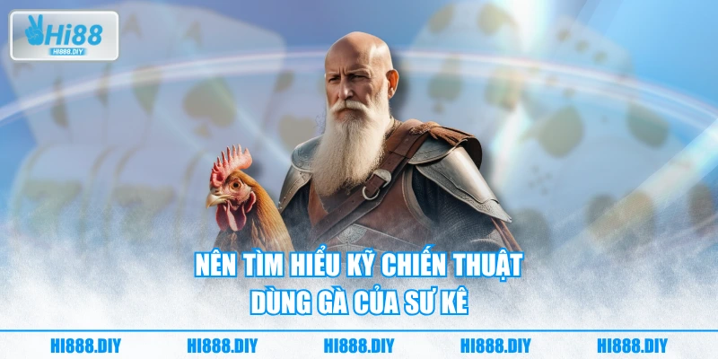 Nên tìm hiểu kỹ chiến thuật dùng gà của sư kê Nên tìm hiểu kỹ chiến thuật dùng gà của sư kê