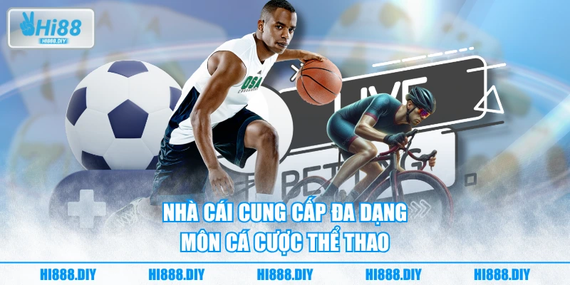Nhà cái cung cấp đa dạng môn cá cược thể thao Nhà cái cung cấp đa dạng môn cá cược thể thao